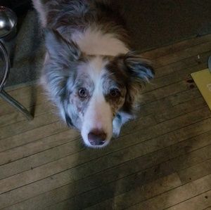 Meet your Posher, Sandra